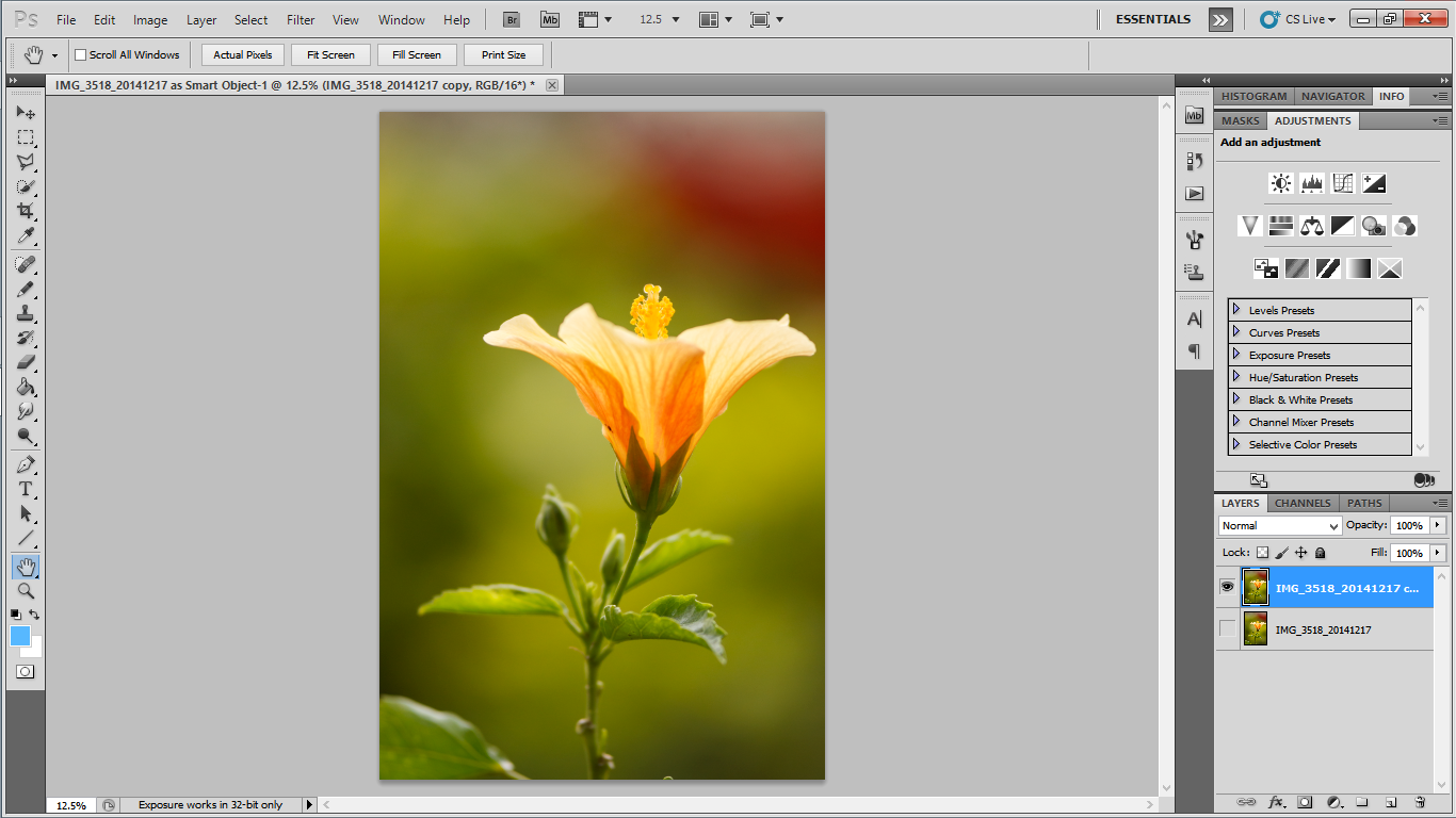 How To Isolate Images In Photoshop 